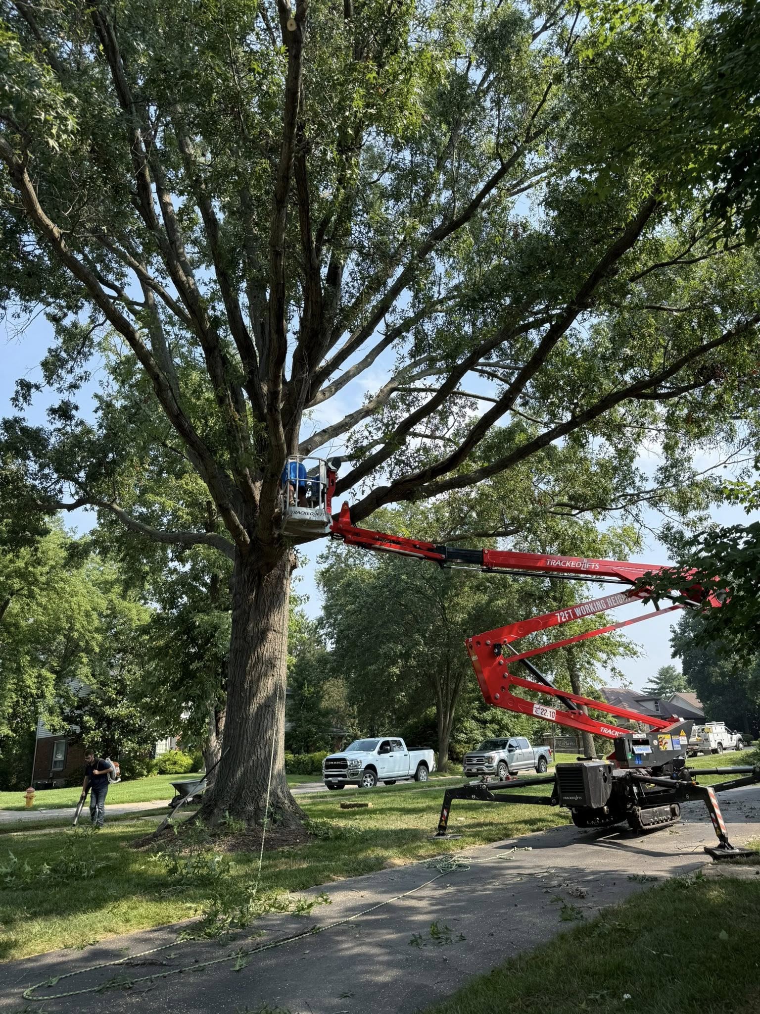 Full property cleanup service